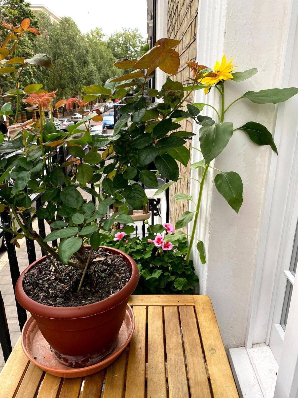 Cosy And Stylish With Balcony * Londra